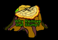Why Remove that Stump?